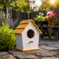 Azadi Ultimate Bird Garden Bundle